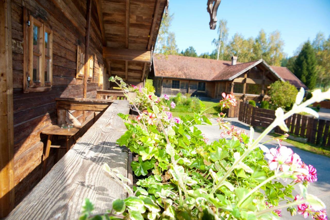 Hotel Topfit-Freizeitpark à Freinberg Extérieur photo